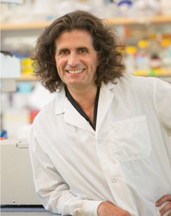 Michele Carbone